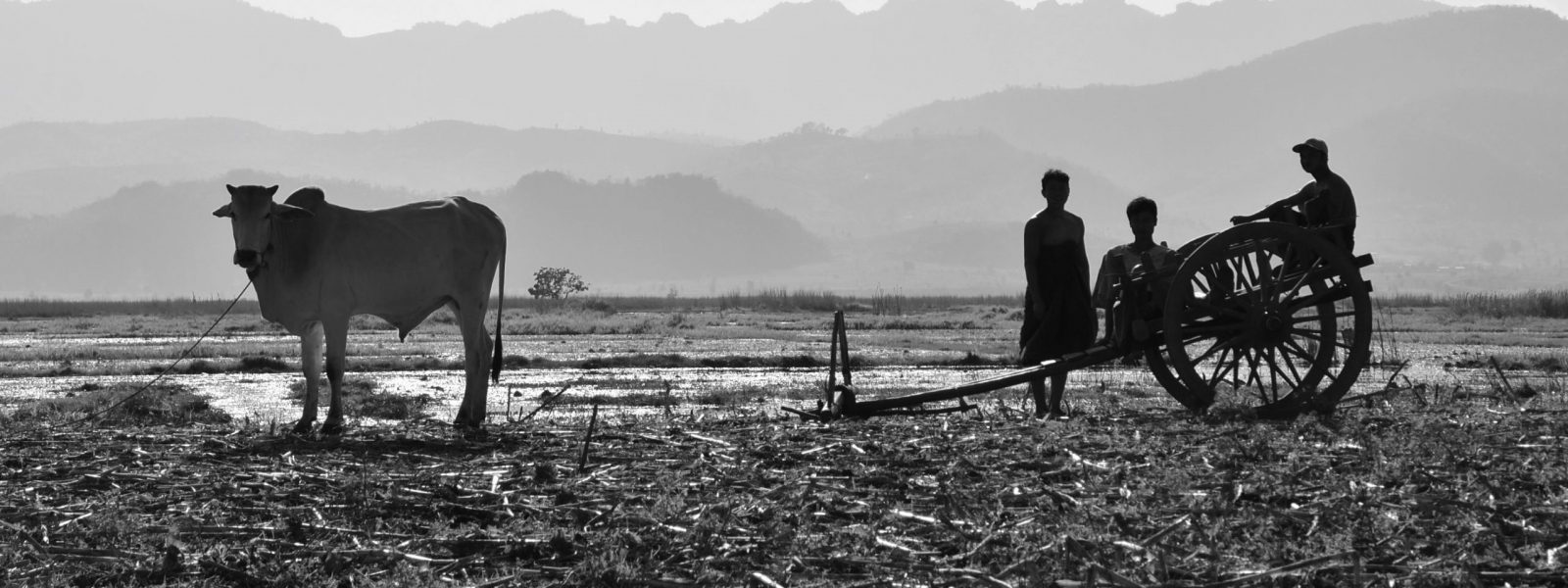 Samkar Lake - farmers - Shan State - Sampan Trave