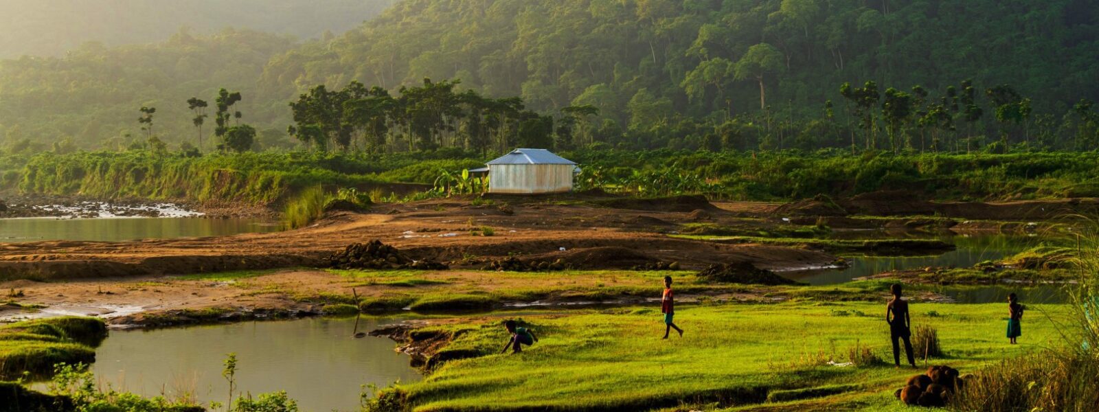 Children of Heaven in fields Sylhet, Bangladesh