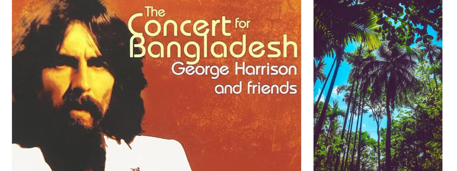 George Harrison Concert for Bangladesh Artwork + Trees in sunlight in Barisal