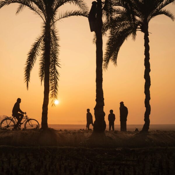 Children and bicycle at sunset in Jessore, Bangladesh