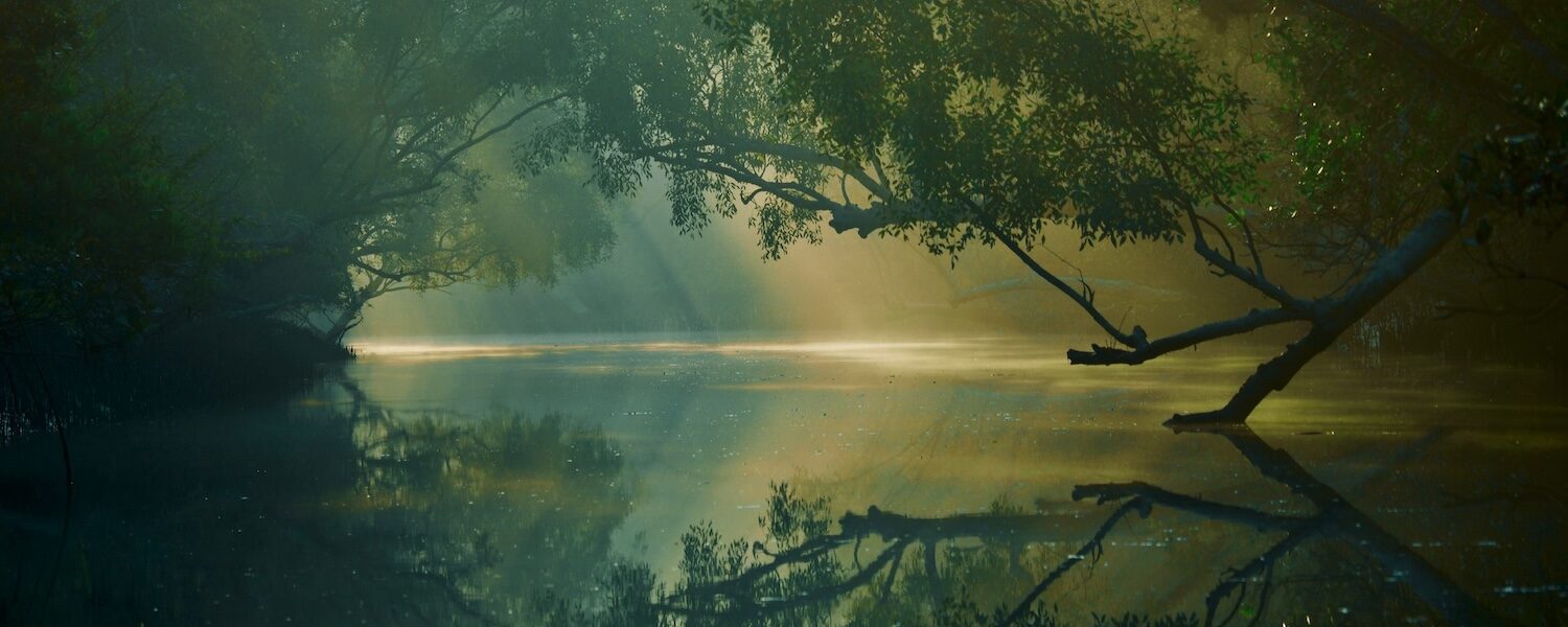 Sundarbans the Land of Silence - Khulna, Division, Bangladesh